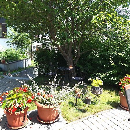 B&B Villa Sumrak Plitvica Plitvica selo Eksteriør billede